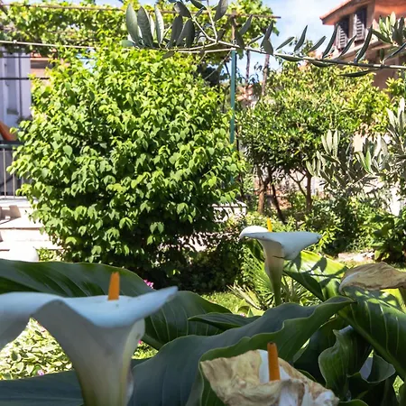 Lägenhet Marjan Hill 3-br Apt,5 Guests Private Garden Near