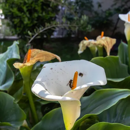 Διαμέρισμα Marjan Hill 3-br Apt,5 Guests Private Garden Near Σπλιτ