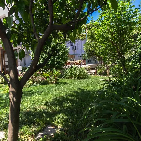 Marjan Hill 3-br Apt,5 Guests Private Garden Near Lägenhet