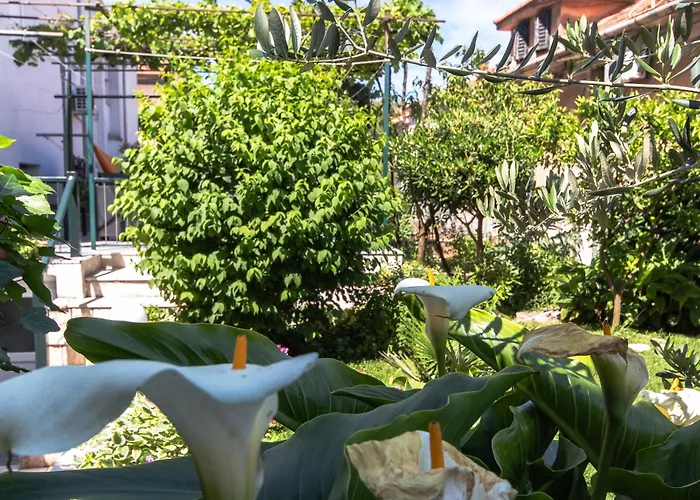 Lägenhet Marjan Hill 3-br Apt,5 Guests Private Garden Near