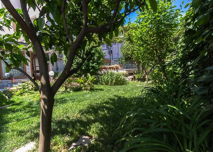 Marjan Hill 3-br Apt,5 Guests Private Garden Near Lägenhet